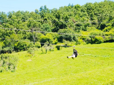 生态科技公司记账代理需要多久
