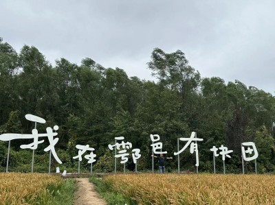 家禽饲养公司财会服务代办一般多少费用