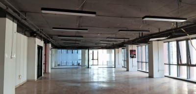 林业农业公司记账报税条件